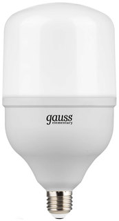 Лампочка Gauss Elementary T160 E27 60W 5600Lm 6500K