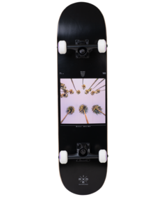 Скейтборд Ridex Malibu 81х20 см, черный