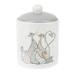 Банка для сыпучих продуктов "Усатое счастье", 675 мл ENS