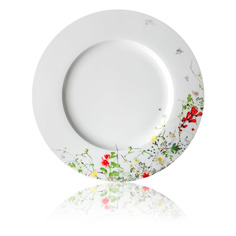 Тарелка обеденная с бортом Rosenthal Дикие цветы 28 см, фарфор костяной