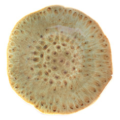 Салатник Top Art Studio Мадейра клэр 16см, керамика