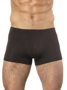Трусы мужские UOMO FIERO 025FH серые M