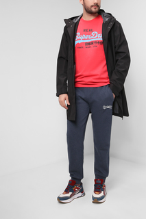 Спортивные брюки мужские Superdry M7010666A синие L