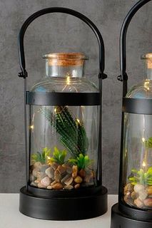 Декоративный светильник фонарик с кактусом, Boltze, арт. 2005356-кактус