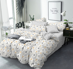 Комплект постельного белья 2.0 макси BRAVO Collection наволочки 70*70 4747-1 Аксель