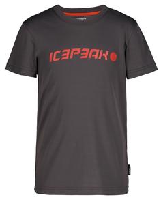 Футболка детская IcePeak Kemberg Jr Granite р.152