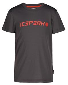 Футболка детская IcePeak Kemberg Jr Granite р.176