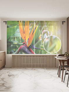 Фототюль JoyArty "Стрелитция королевская", 145x180см (2 полотна с лентой + 50 крючков)