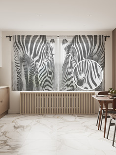 Фототюль JoyArty "Миролюбивые зебры" 145x180см (2 полотна со шторной лентой + 50 крючков)