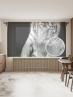 Фототюль JoyArty "Игривый тигр", 145x180 см (2 полотна со шторной лентой + 50 крючков)