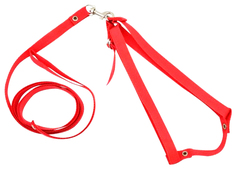 Комплект Zooexpress поводок+шлейка капроновый красный до 45 см для кошек 45 см