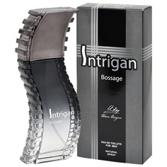 Туалетная вода мужская Intrigan Bossage 85 мл 7823234 Positive Parfum