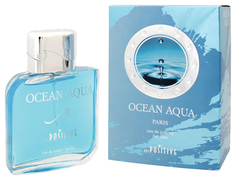 Туалетная вода мужская OCEAN AQUA, 100 мл 7262112 Positive Parfum