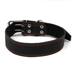 Ошейник Пижон кожаный на синтепоне, 82 х 4.5 см, ОШ 50-70 см, чёрный