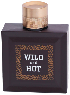Туалетная вода мужская Wild And Hot, 100 мл. 5866314 Parfum Delta
