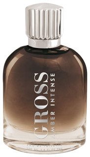 Туалетная вода мужская Gross Amber Intense, 100 мл 7085749 Christine Lavoisier Parfums