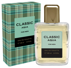 Туалетная вода мужская Classic Aqua, 100 мл 4766840 Parfum Delta