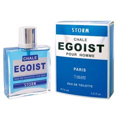 Туалетная вода мужская CHALE EGOIST STORM, 90 мл 7262086 Positive Parfum