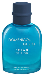 Туалетная вода мужская Domenico&Gusto Fresh Edition, 100 мл 7085747 Christine Lavoisier Parfums