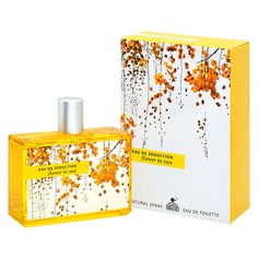 Туалетная вода женская Eau De Seduction Flower In Sun 100 мл 7823294 Positive Parfum