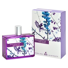 Туалетная вода женская Eau De Seduction Violet Dream 100 мл 7823297 Positive Parfum