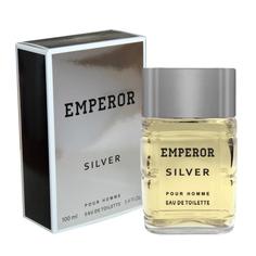Туалетная вода мужская Emperor Silver, 100 мл 5866323 Parfum Delta