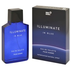 Туалетная вода мужская Illuminate In Blue 100 мл 7823321 Positive Parfum