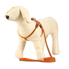 Комплект Пижон Косточки, светоотражающий, поводок 1 х 120 см, оранжевый