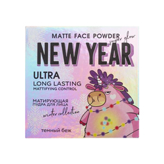 Матирующая пудра для лица Your New Year Must Have, оттенок средний беж 4848839 Beauty Fox