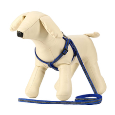 Комплект Пижон Спорт светоотражающий, ширина 1 см, поводок 1,2 м, шлейка 23-35 см, синий