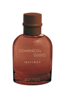 Туалетная вода мужская Domenico&Gusto Instinct, 100 мл 7085748 Christine Lavoisier Parfums