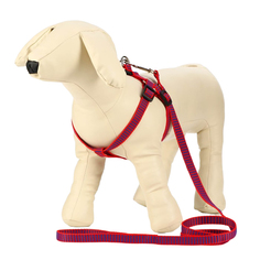 Комплект амуниции Пижон, рельефный, 1,5 см, шлейка 36-49 см, поводок 120 см, красно-синий