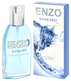 Туалетная вода мужская ENZO SANKARO, 95 мл 7860197 Positive Parfum