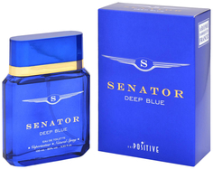Туалетная вода мужская SENATOR DEEP BLUE, 100 мл 7262117 Positive Parfum