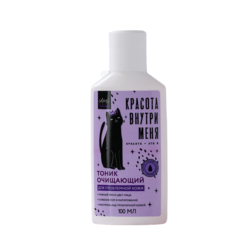Тоник для проблемной кожи «Красота внутри тебя», 250 мл 5484071 Beauty Fox
