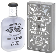 Туалетная вода мужская WISKARING ВИСКАРИК МЯГКАЯ ПОСАДКА, 65 мл Positive Parfum