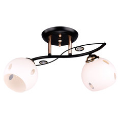 Люстра потолочная РОССВЕТ РС20045 BK+FG/2C