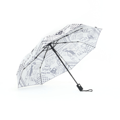 Зонт женский Raindrops RD0573884 paris