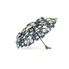Зонт женский RD0523812 черно-серый Raindrops