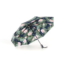 Зонт женский Raindrops RD0523812 зеленый