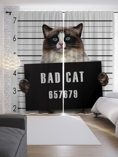 Шторы с фотопечатью "Кот преступник" из сатена, 290х265 см Joy Arty