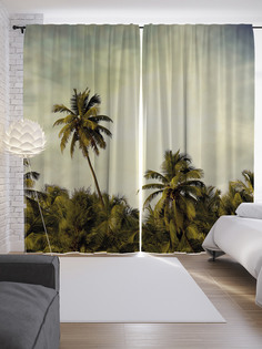 Шторы с фотопечатью JoyArty «Необычная пальма» из сатена, 290х265 см