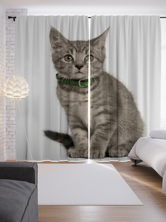 Шторы с фотопечатью "Котик с ошейником" из сатена, 290х265 см Joy Arty