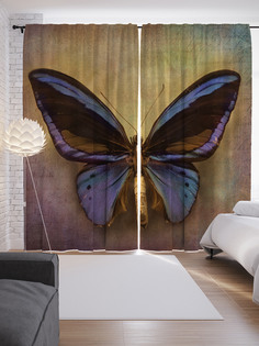 Шторы с фотопечатью "Ночная бабочка" из сатена, 290х265 см Joy Arty