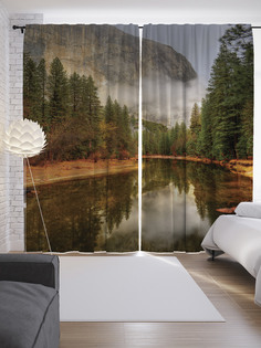 Шторы JoyArty с фотопечатью "Лесная дымка" из сатена, 290х265 см