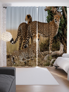 Шторы JoyArty с фотопечатью "Агрессия леопардов" из сатена, 290х265 см