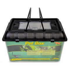 Контейнер для рептилий Lucky Reptile, пластик, 32.5 x x 22 см