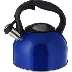 Чайник Hitt Gamma Plus со свистком 2,5 л