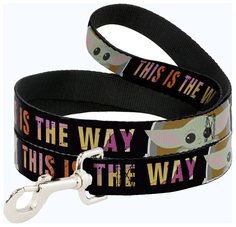 Универсальный поводок для собак Buckle-Down, сталь, полиэстер, мультиколор, длина 1.2 м