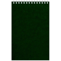 Блокнот на спирали А5 60л. зеленый 2 штуки Альт